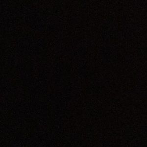 Meet your Posher, Regina